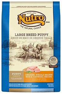 Best Puppy Food for German Shepherds