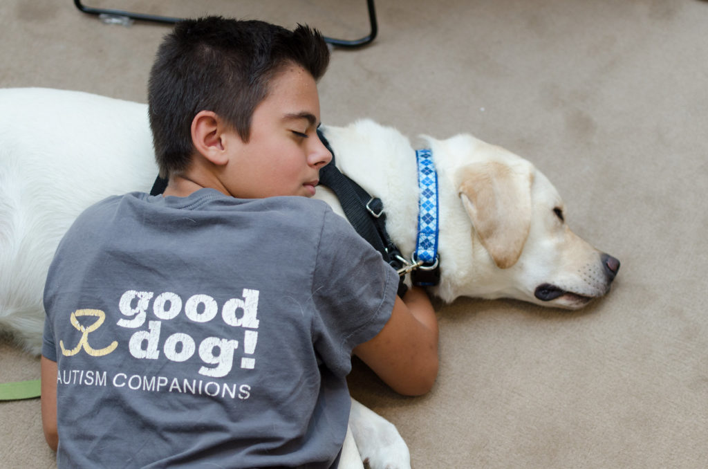 What Does An Autism Service Dog Do