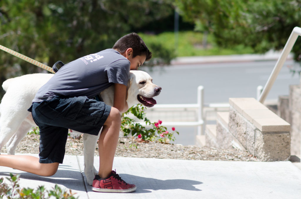 What Does An Autism Service Dog Do