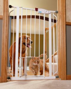 Best Dog Gate for Stairs