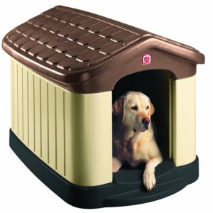 Best Dog House for Cold Weather