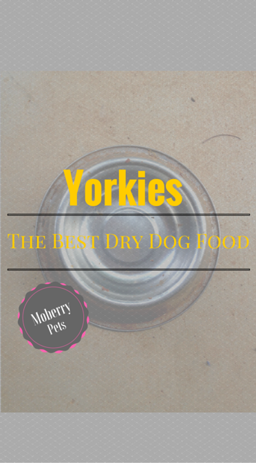 Best Dry Dog Food For Yorkies