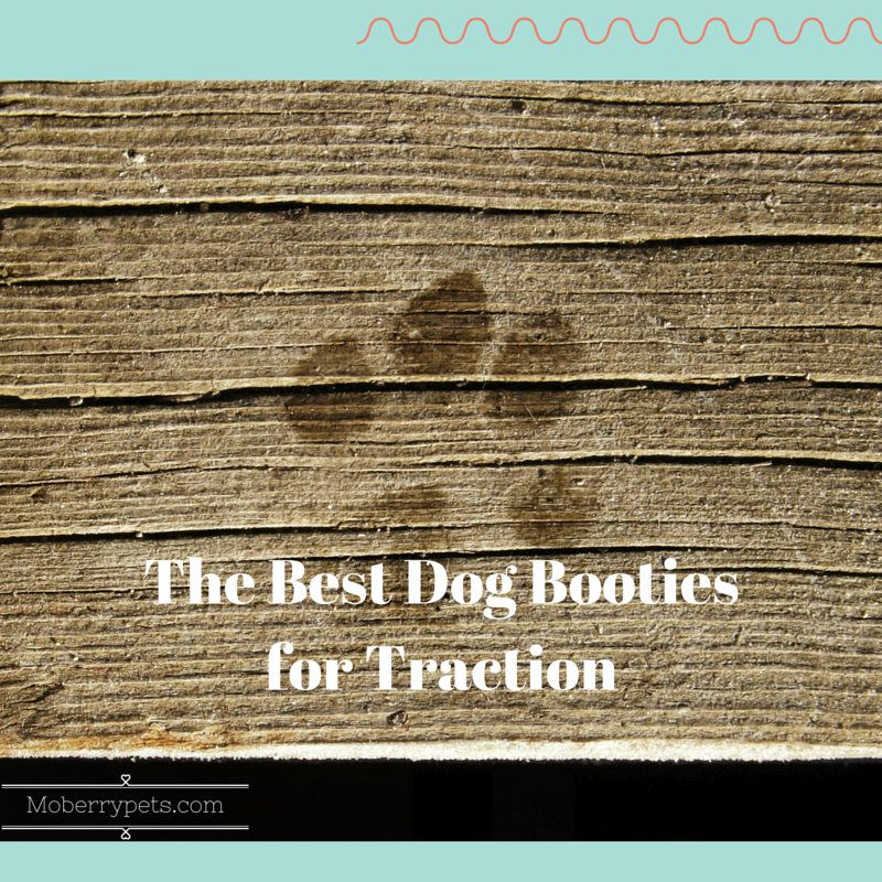 The Best Dog Booties for Traction