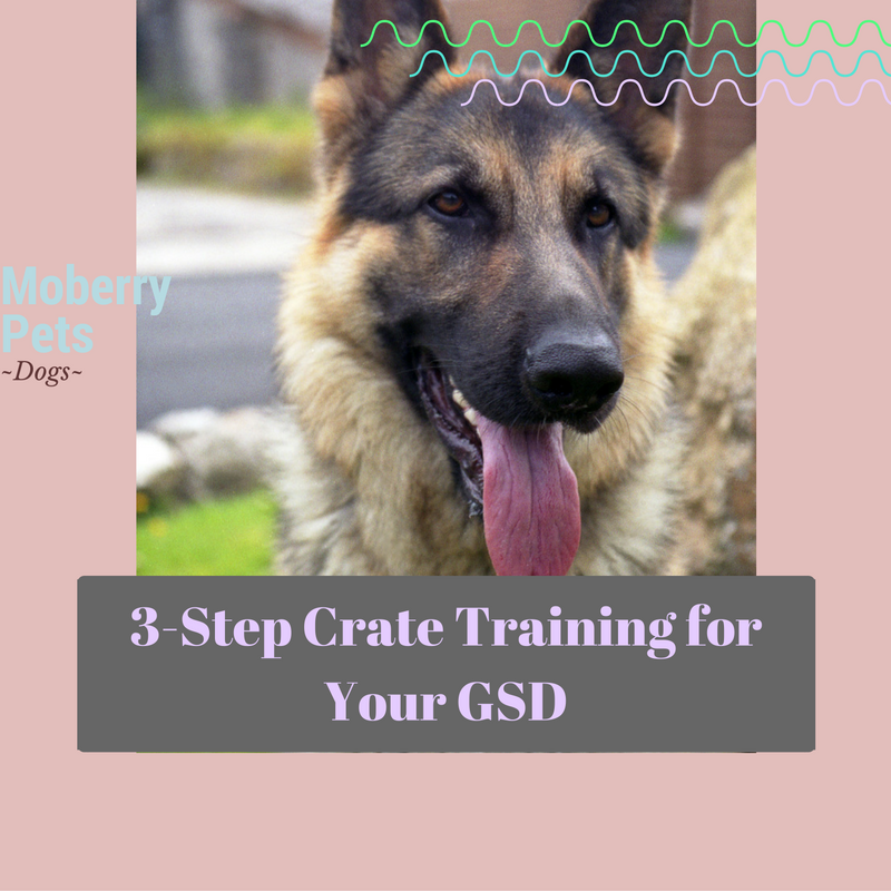 German Shepherd Crate Training Schedule